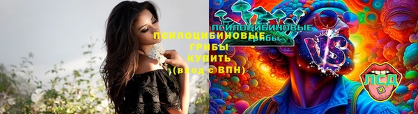 СК Арсеньев