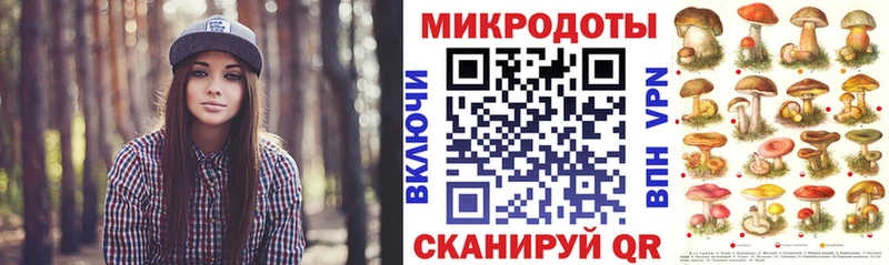 Купить закладки  Нерчинск  Галлюциногенные грибы Cubensis 